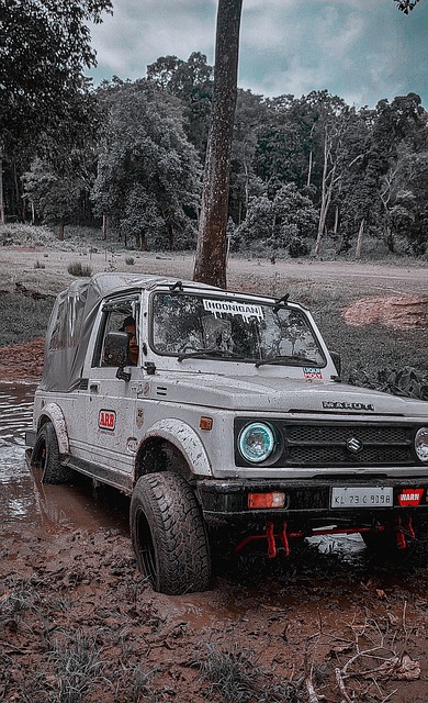 巴萨vs法兰克福首发：亚马尔、莱万出战，拉什福德替补